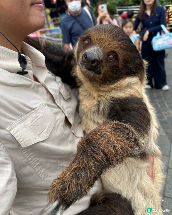 時代變了 但情感還在
