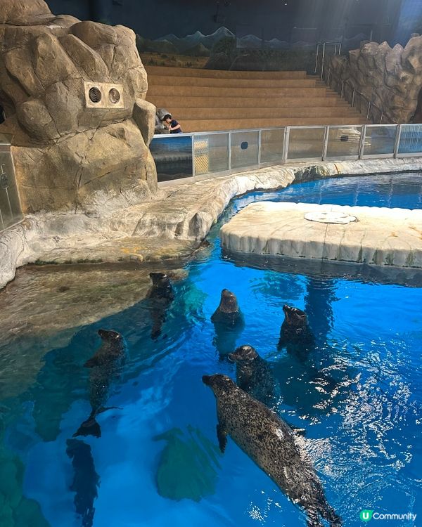 時代變了 但情感還在