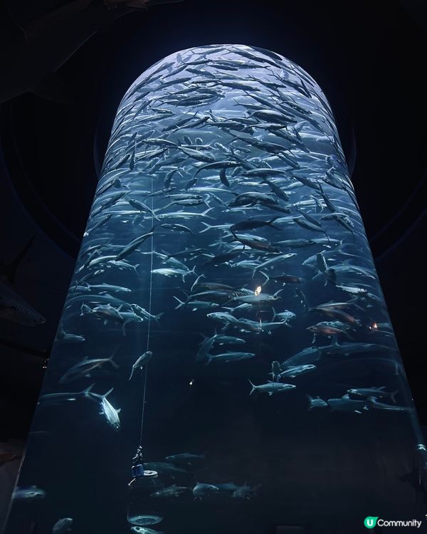 時代變了 但情感還在