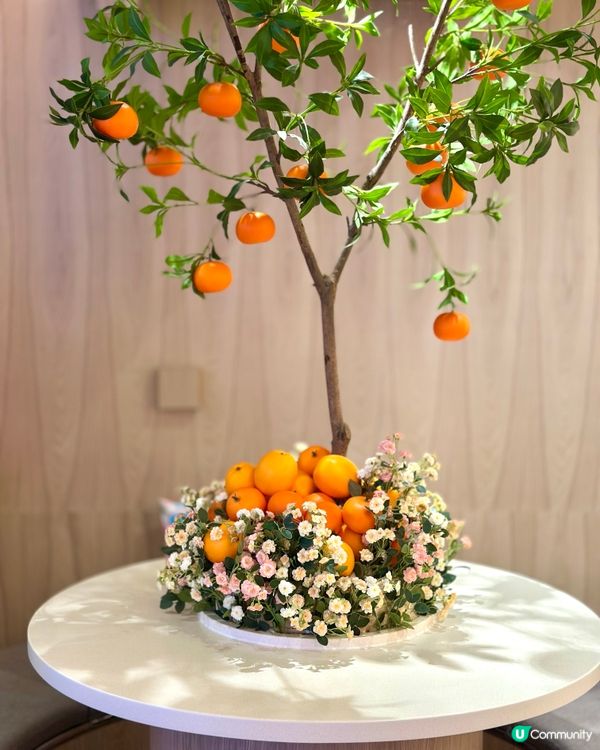 Usahana x Terrace in seaside!