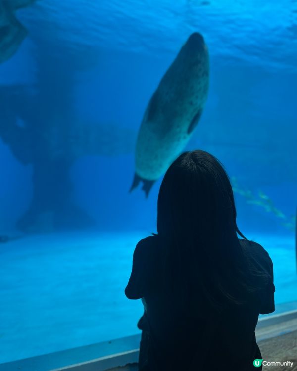 時代變了 但情感還在