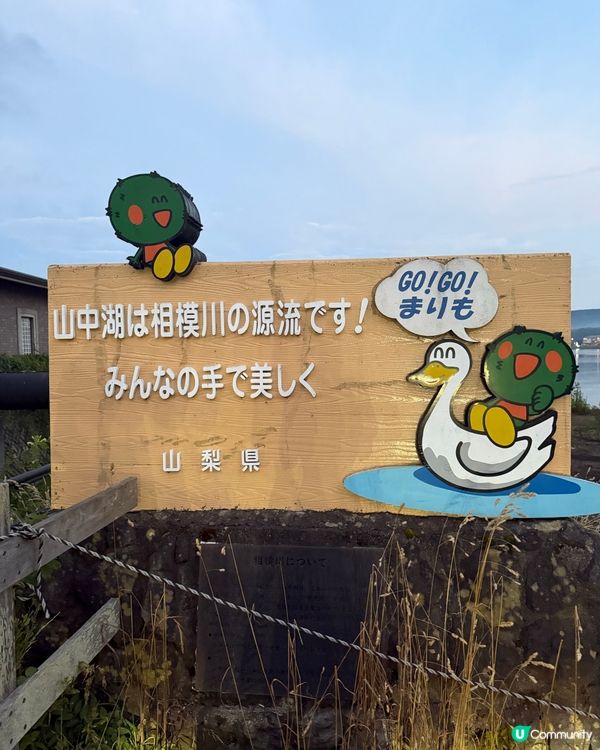 日落白鳥濱，粉紅湖景超夢幻！🌅✨