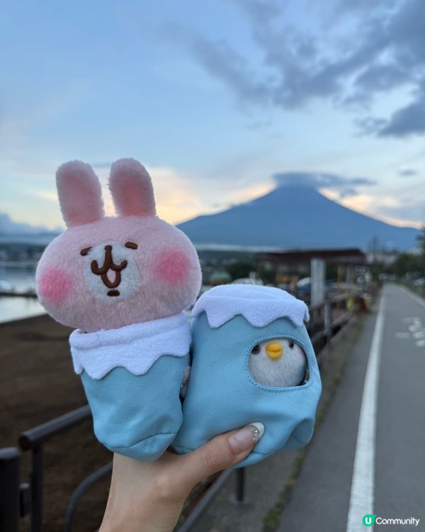 日落白鳥濱，粉紅湖景超夢幻！🌅✨