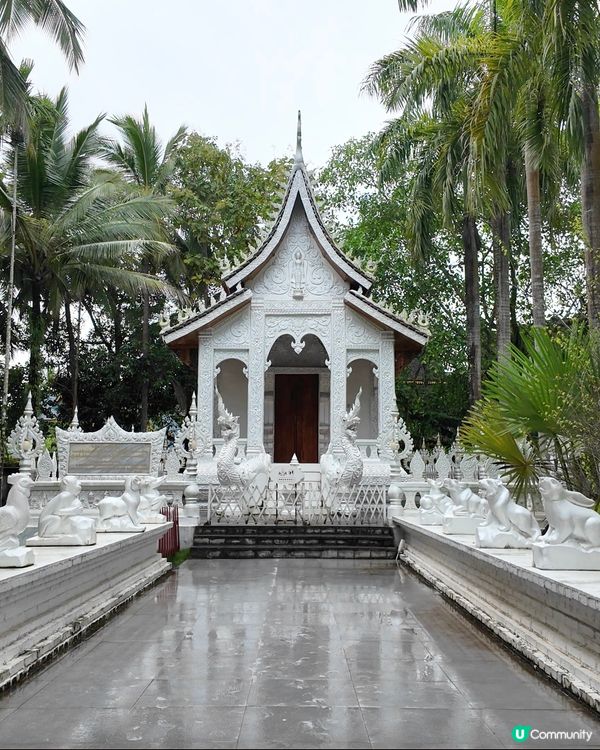 傣族園攻略！快艇體驗超正🤩 門票交通全攻略！