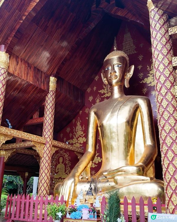 傣族園攻略！快艇體驗超正🤩 門票交通全攻略！