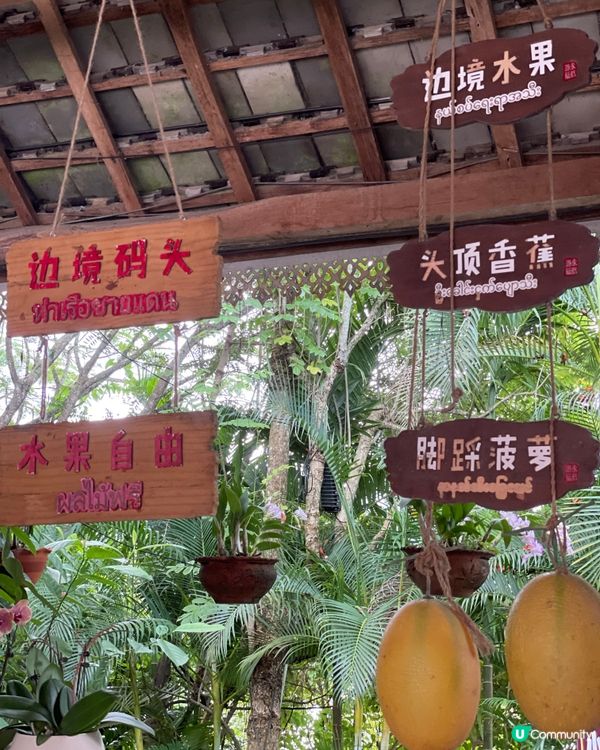 傣族園攻略！快艇體驗超正🤩 門票交通全攻略！