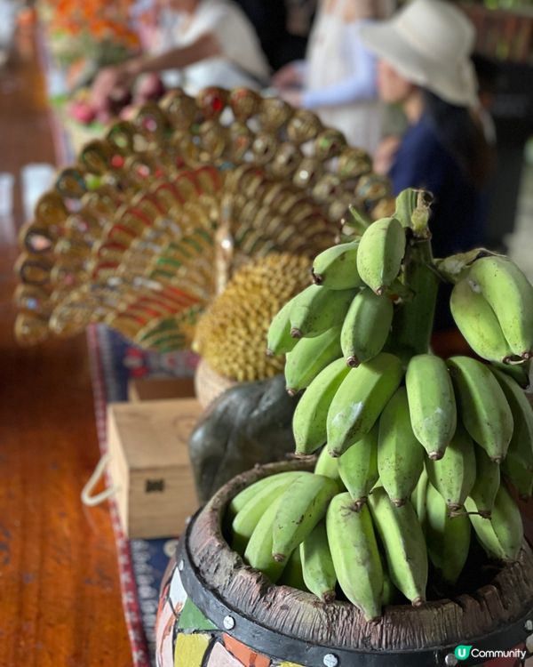 傣族園攻略！快艇體驗超正🤩 門票交通全攻略！