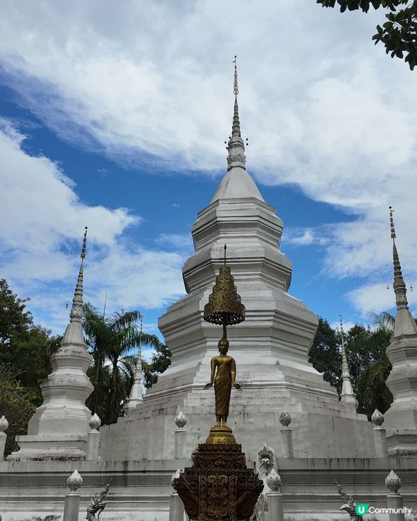 傣族園攻略！快艇體驗超正🤩 門票交通全攻略！