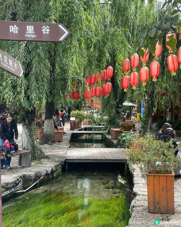 束河古城，慢活之旅🏞️，感受納西文化！