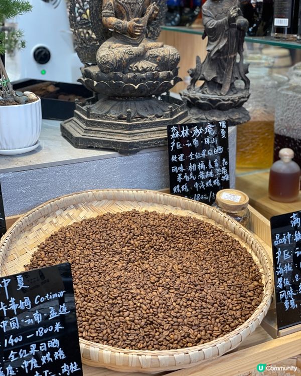 束河古城，慢活之旅🏞️，感受納西文化！