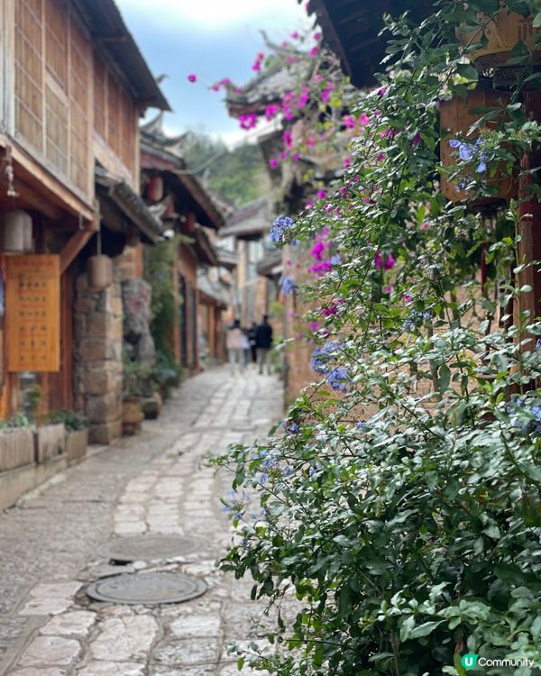 束河古城，慢活之旅🏞️，感受納西文化！