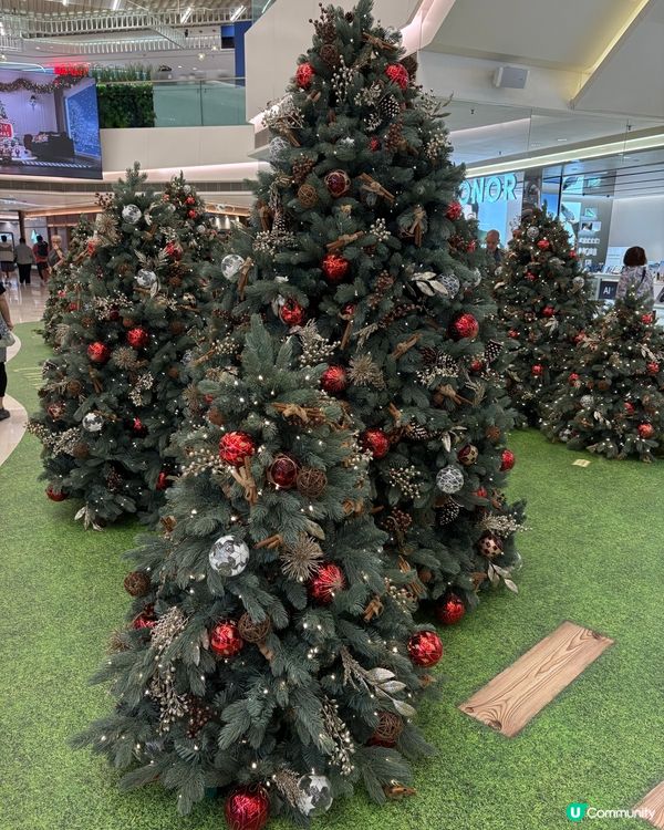 YOHO MALL聖誕奇幻小徑「星願聖誕🎄」閃亮登場🌟