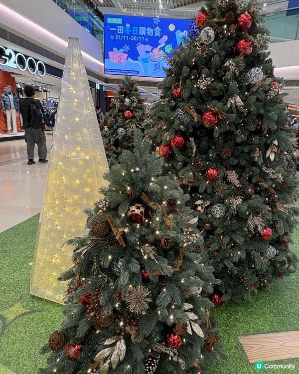 YOHO MALL聖誕奇幻小徑「星願聖誕🎄」閃亮登場🌟