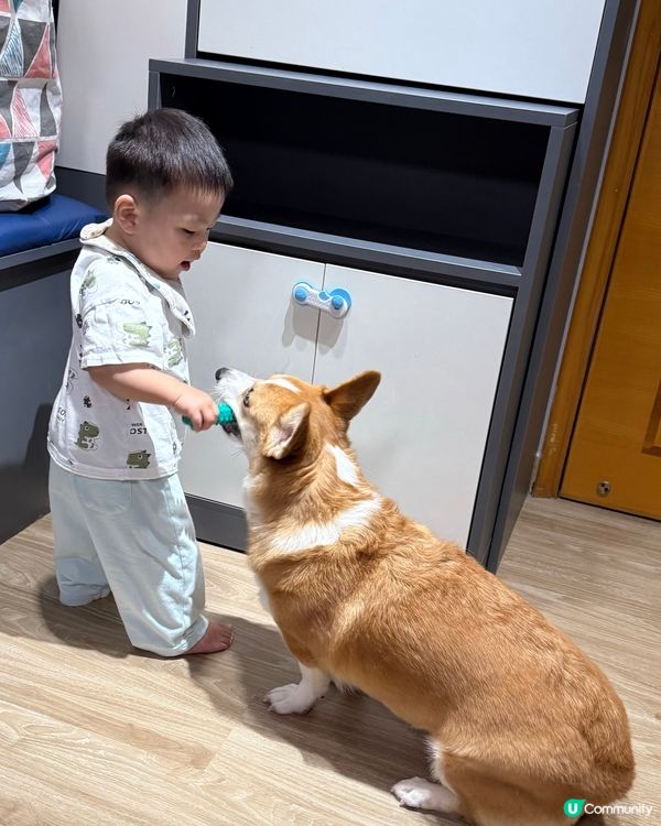 1. 媽媽必備！👶🏻寵物都用得嘅消毒噴霧！✨