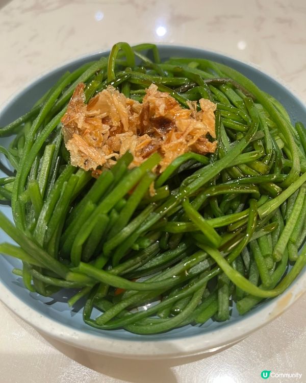 長沙灣掃街🤤阿木台灣麵必食！😋