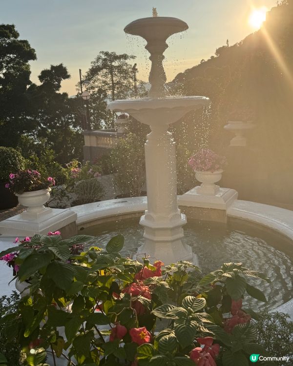 傾城之戀的下午茶☕️