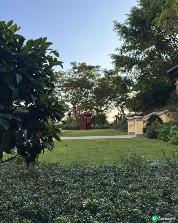 傾城之戀的下午茶☕️