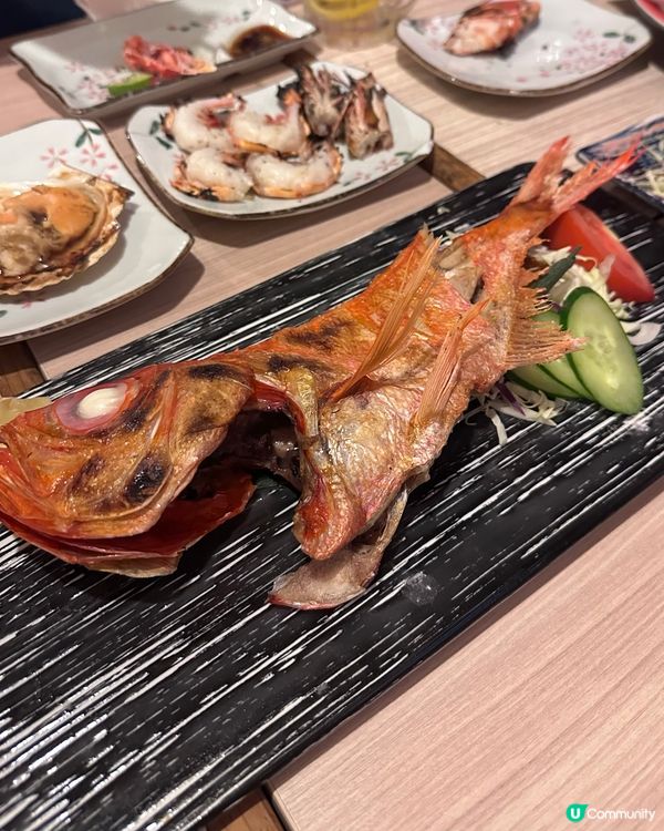 尖沙咀磯燒居酒屋-焱丸水產