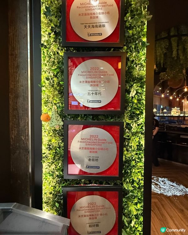 新加坡米芝蓮海南雞飯🤤！打卡一流📸！