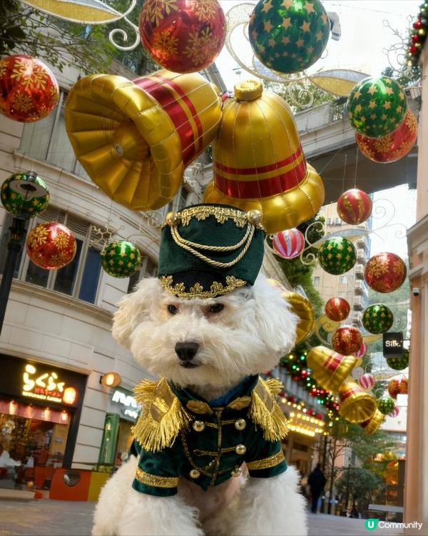 蠢蠢率先帶大家到灣仔利東街好靚牙!