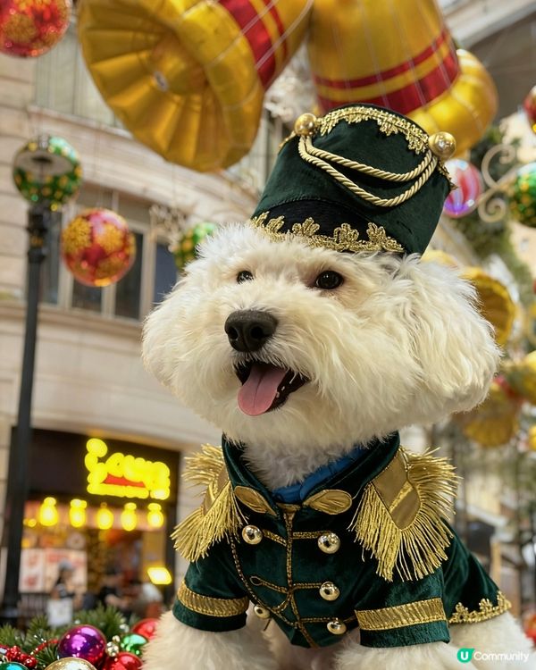 蠢蠢率先帶大家到灣仔利東街好靚牙!