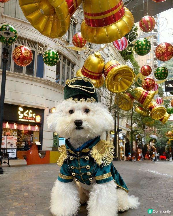 蠢蠢率先帶大家到灣仔利東街好靚牙!