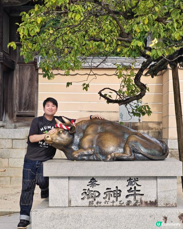 福岡🇯🇵太宰府🏯天滿宮