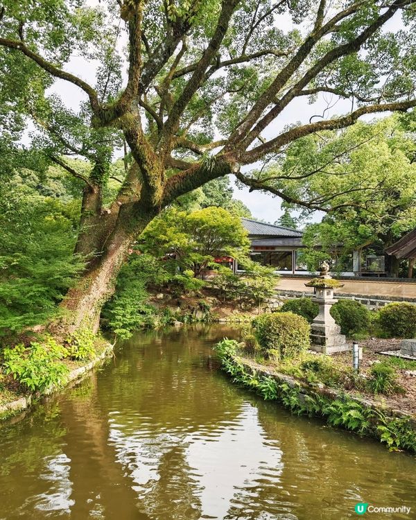 福岡🇯🇵太宰府🏯天滿宮