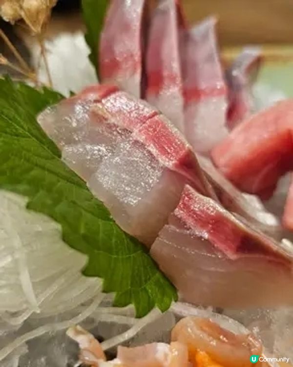 佐敦隱世高質居酒屋