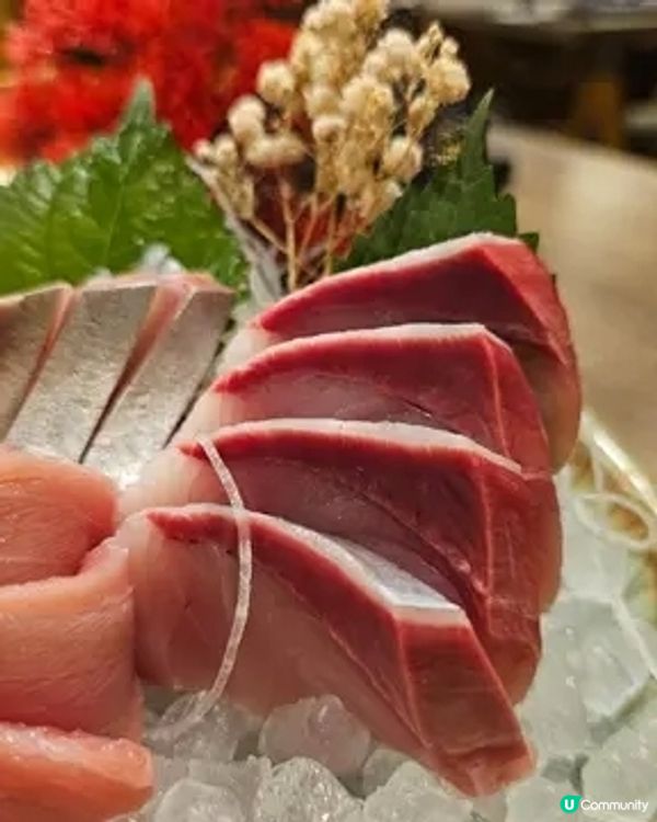 佐敦隱世高質居酒屋