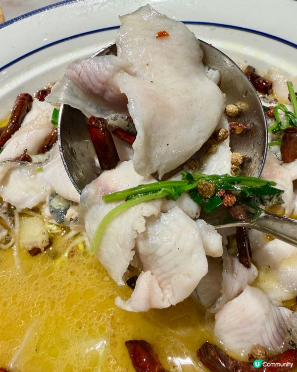 [勞蘇食]高質好味川菜館✨