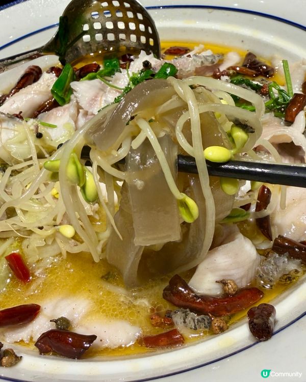 [勞蘇食]高質好味川菜館✨