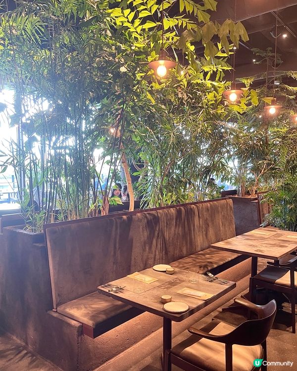 🇯🇵東京表參道森林系慶生餐廳💚