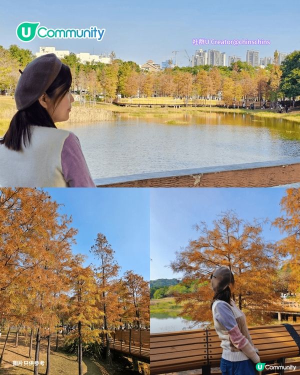 【深圳紅葉2025】深圳7大落羽杉好去處 地鐵可直達/全新開發/爆紅打卡景點