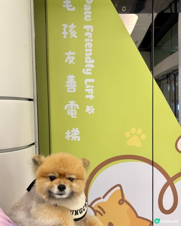 🩵青衣城の青新貓狗樂園💚