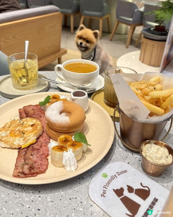 🩵青衣城の青新貓狗樂園💚