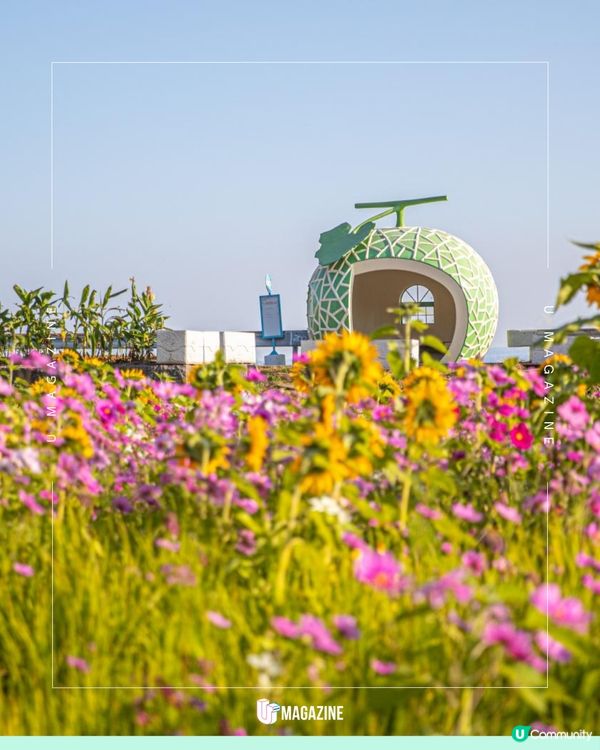 日本必打卡超可愛的14個巨型水果巴士站！