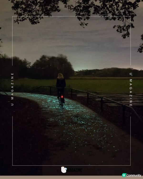 超夢幻！發光《星夜》單車徑｜由5萬顆發光石組成！走進梵高名畫裡！