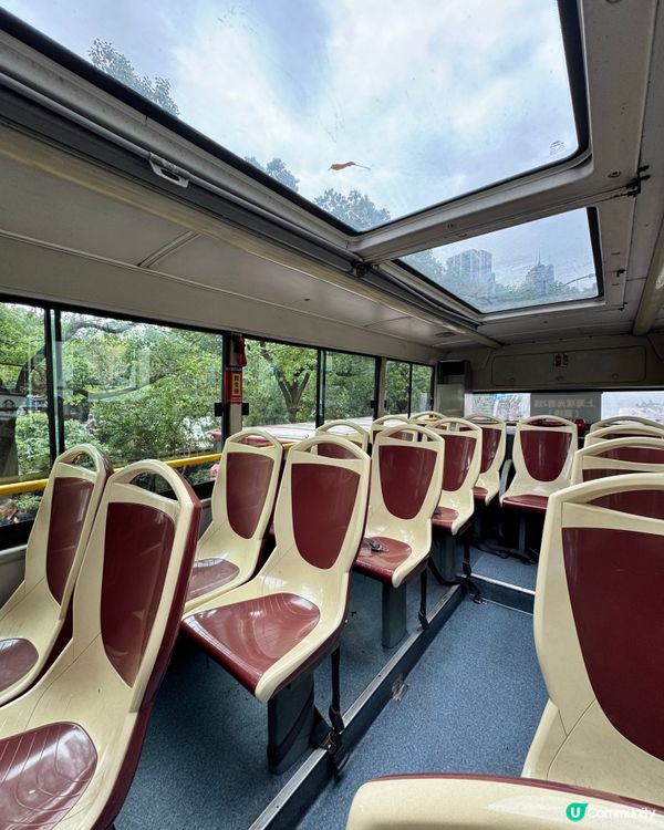 上海觀光巴士體驗