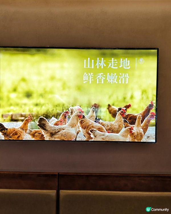 KKone脆皮雞！鮮雞現切就是鮮🫶🏻