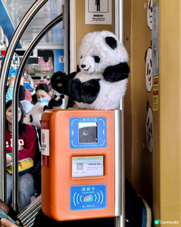 熊貓主題電車🤤巨型熊貓任攬唔嬲