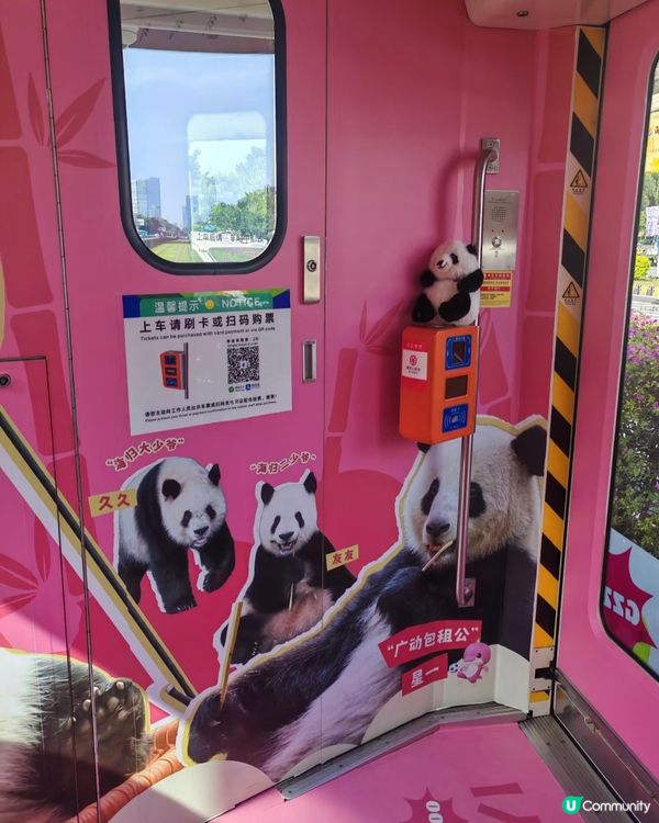 熊貓主題電車🤤巨型熊貓任攬唔嬲