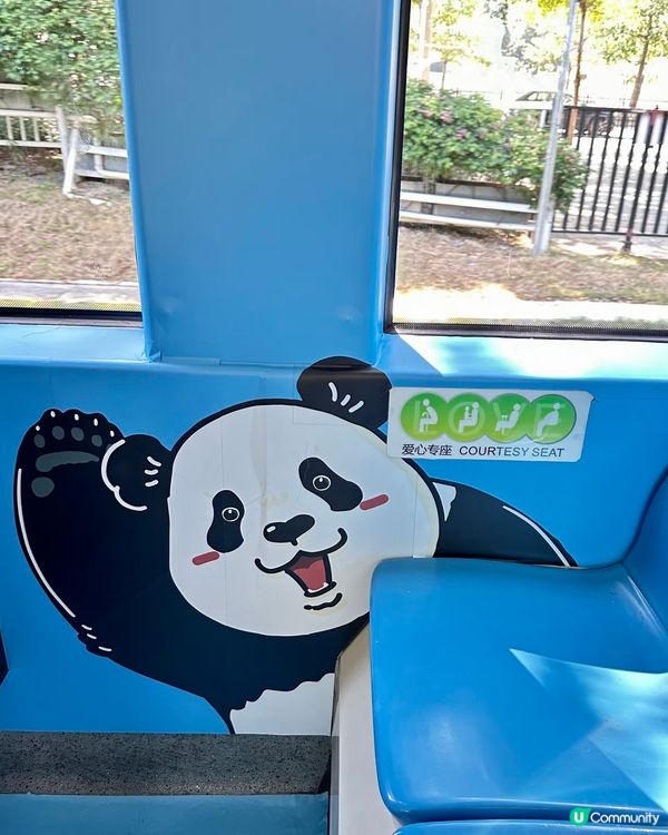熊貓主題電車🤤巨型熊貓任攬唔嬲