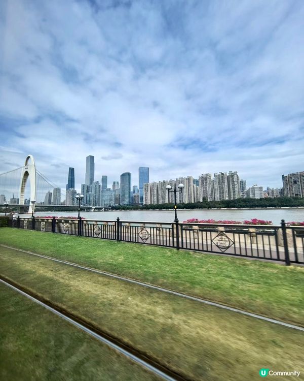 熊貓主題電車🤤巨型熊貓任攬唔嬲