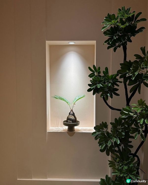 週末北上接按摩💆‍♀️🤤