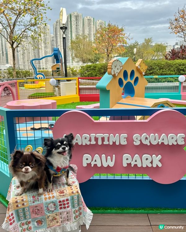 ｢青新貓狗樂園 ｣