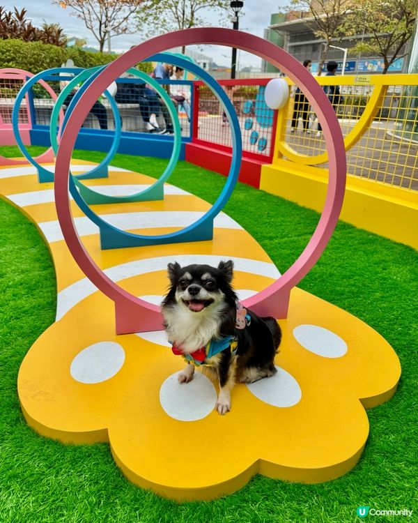 ｢青新貓狗樂園 ｣