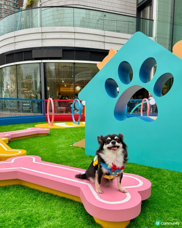 ｢青新貓狗樂園 ｣