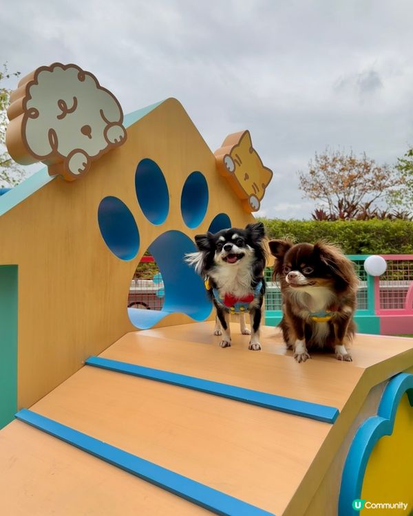 ｢青新貓狗樂園 ｣