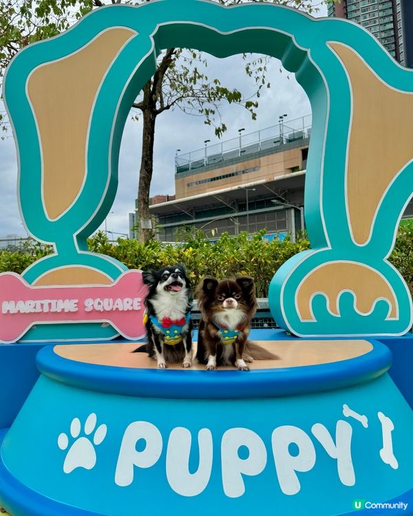 ｢青新貓狗樂園 ｣